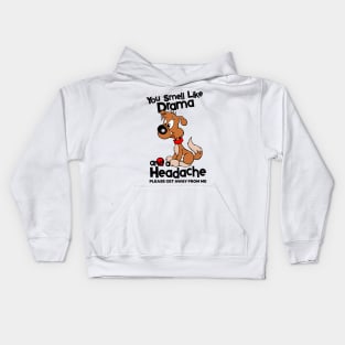 You Smell Like Drama And A Headache Please Get Away From Me Kids Hoodie